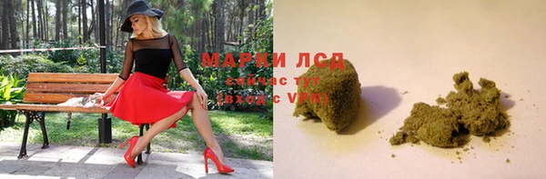PSILOCYBIN Тында