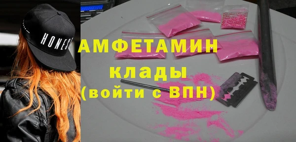 шишки Бородино