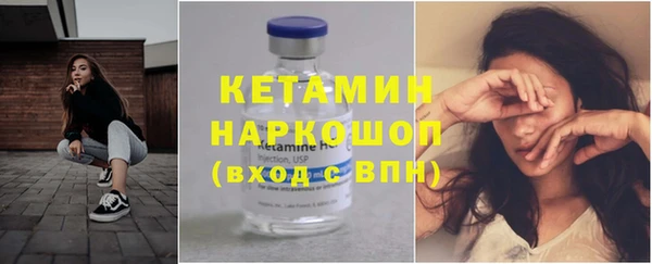 шишки Бородино