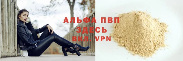 шишки Бородино