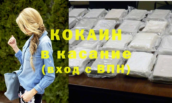 шишки Бородино