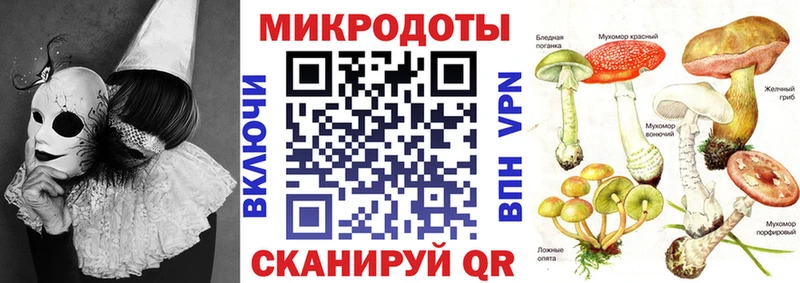 omg как войти  Кировград  Псилоцибиновые грибы Magic Shrooms 